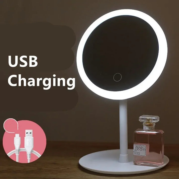 LED Vanity Mirror with Storage