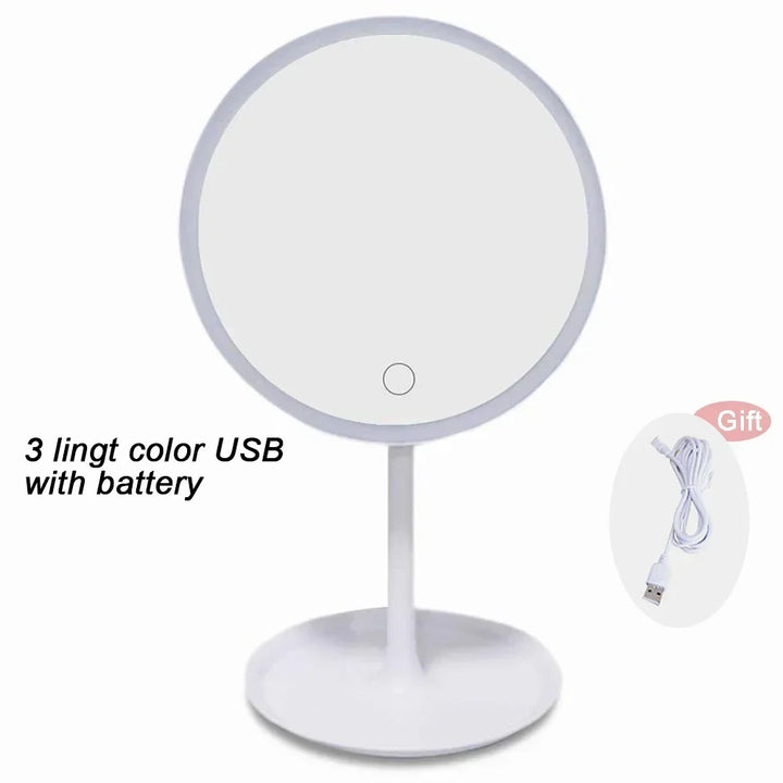 LED Vanity Mirror with Storage