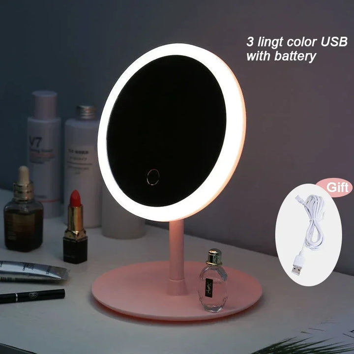 LED Vanity Mirror with Storage